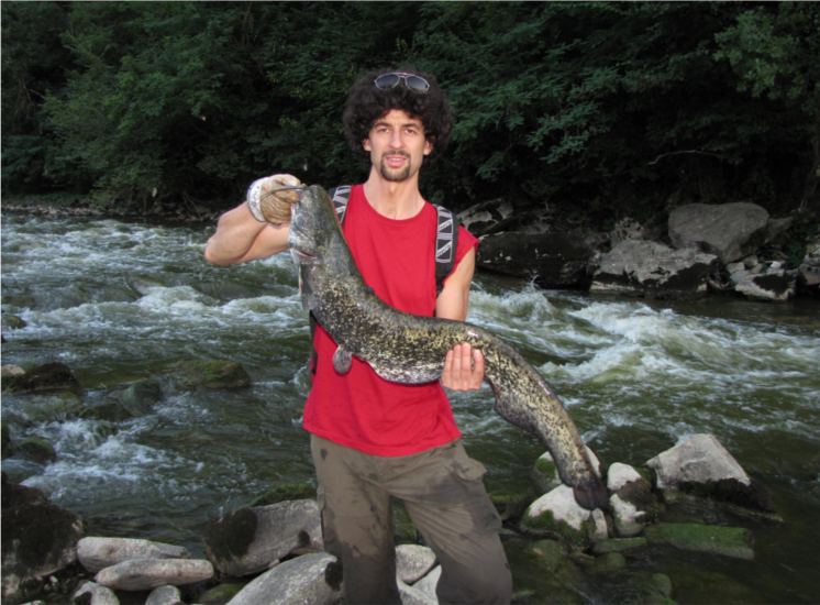 Siluri di torrente